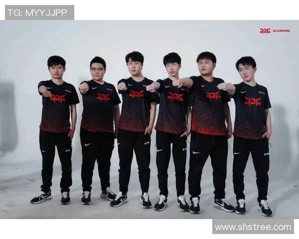 全明星赛精彩回顾：JDG战队展现强大实力与团队默契