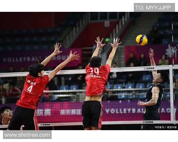 杨芳独家分享排球心得与技巧助你提升球技的秘诀与经验