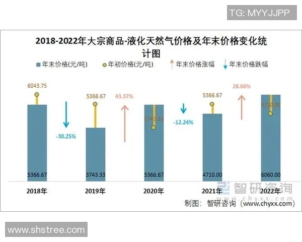 数据分析视角下LNG市场的配合表现及其未来发展趋势探讨