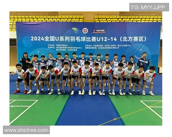 武汉羽毛球队的节奏与风采：聚焦羽毛球运动的魅力与发展