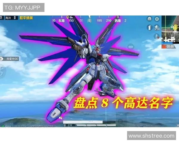 揭秘和平精英成功背后的故事与赵磊的独特见解