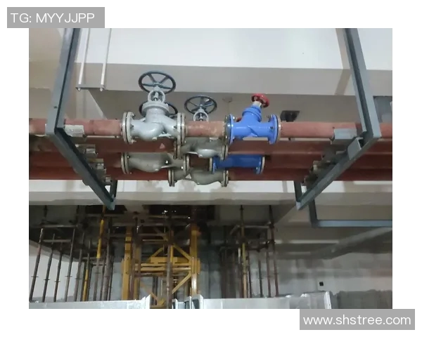 水管阀门的种类、功能及安装维护全解析,确保家庭水路安全畅通