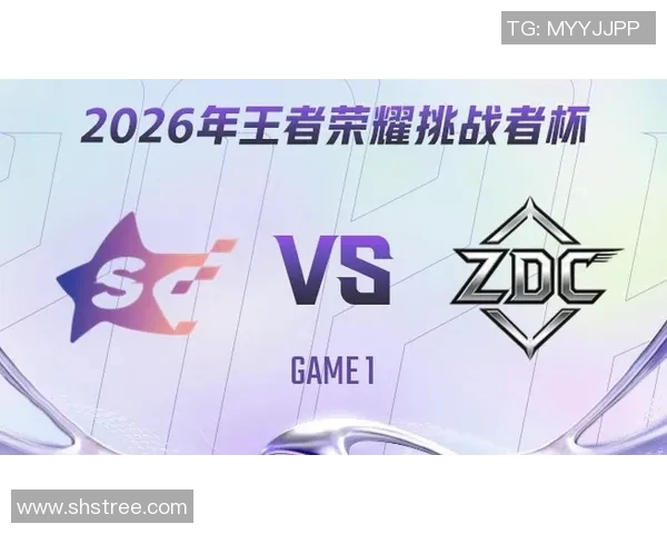 挑战者杯特别报道：TES团队的拼搏历程与荣耀时刻回顾